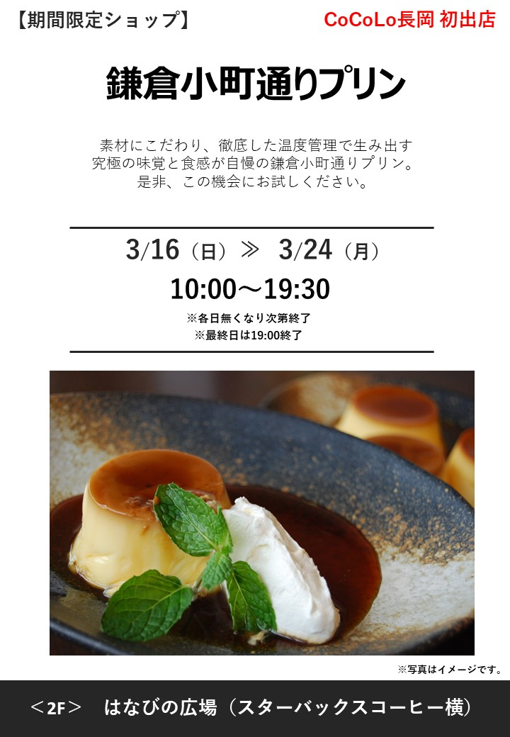 「鎌倉小町通りプリン」期間限定オープン！