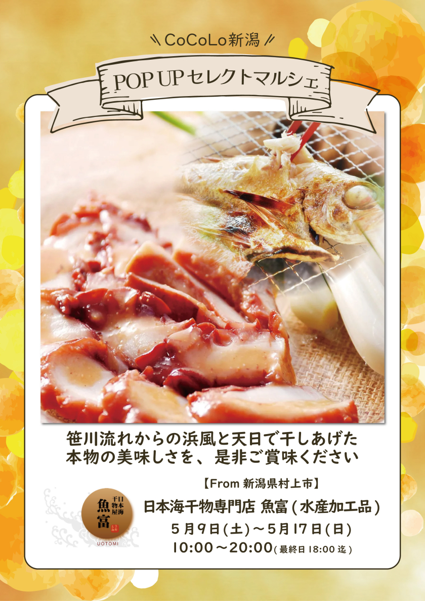 「日本海干物専門店　魚富」期間限定出店のお知らせ
