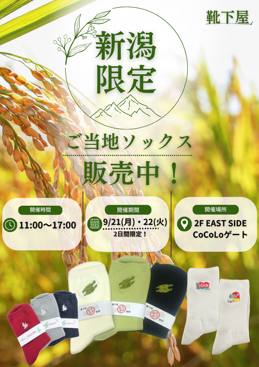 「靴下屋」期間限定POP UP開催！