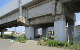 nsi12608101626431.jpg