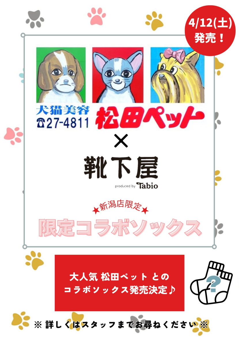 《松田ペット×靴下屋4/12～販売開始！