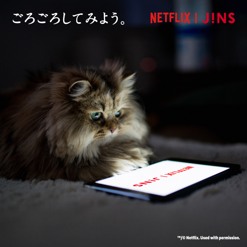 ごろごろしてみよう。JINS HOME® × Netflix