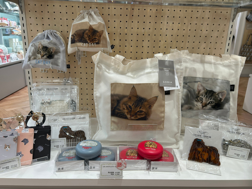 今月のJREポイント2倍