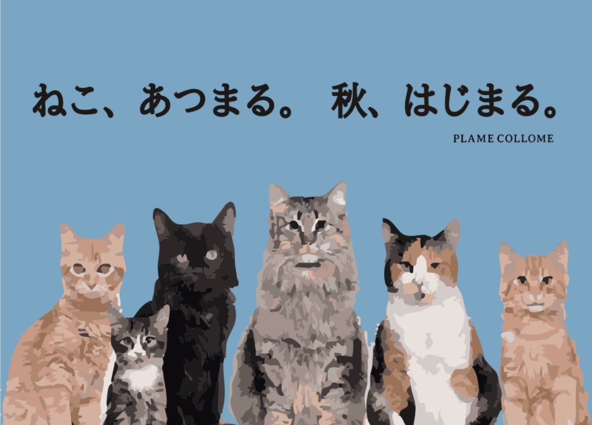 **　新商品のご案内　～ネコ、あつまる　秋、はじまる～　**