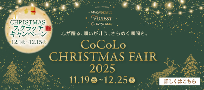 クリスマスギフト